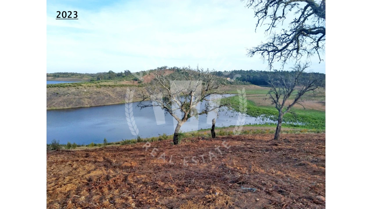 Terreno Agricola ou Rústico para Venda em Cercal Foto 11