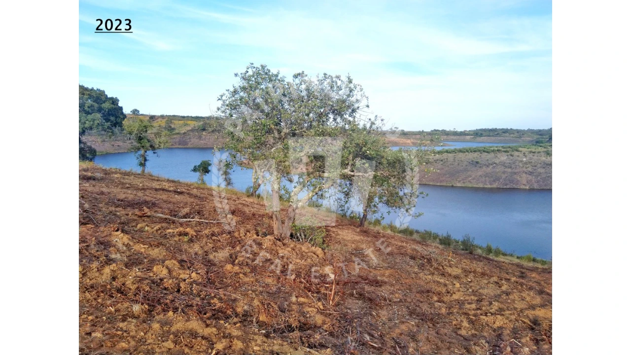 Terreno Agricola ou Rústico para Venda em Cercal Foto 14