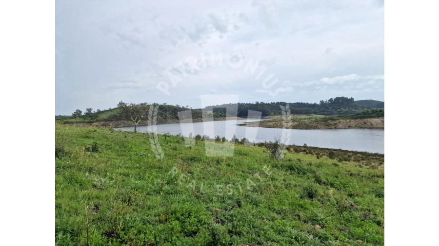 Terreno Agricola ou Rústico para Venda em Cercal Foto 4