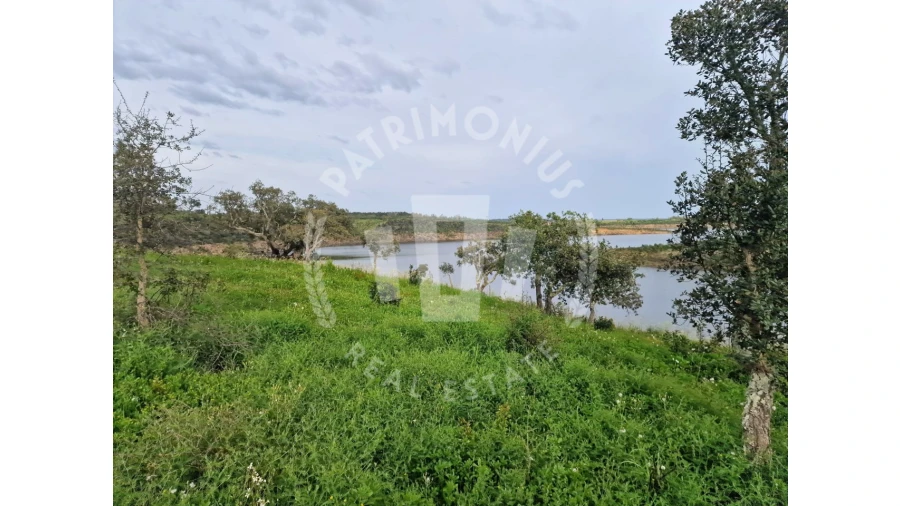 Terreno Agricola ou Rústico para Venda em Cercal Foto 5