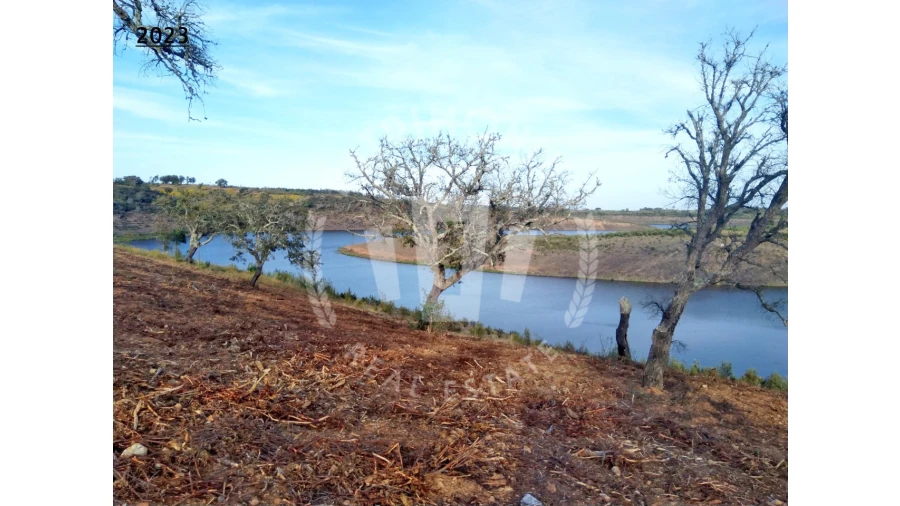 Terreno Agricola ou Rústico para Venda em Cercal Foto 7