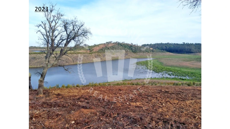 Terreno Agricola ou Rústico para Venda em Cercal Foto 10
