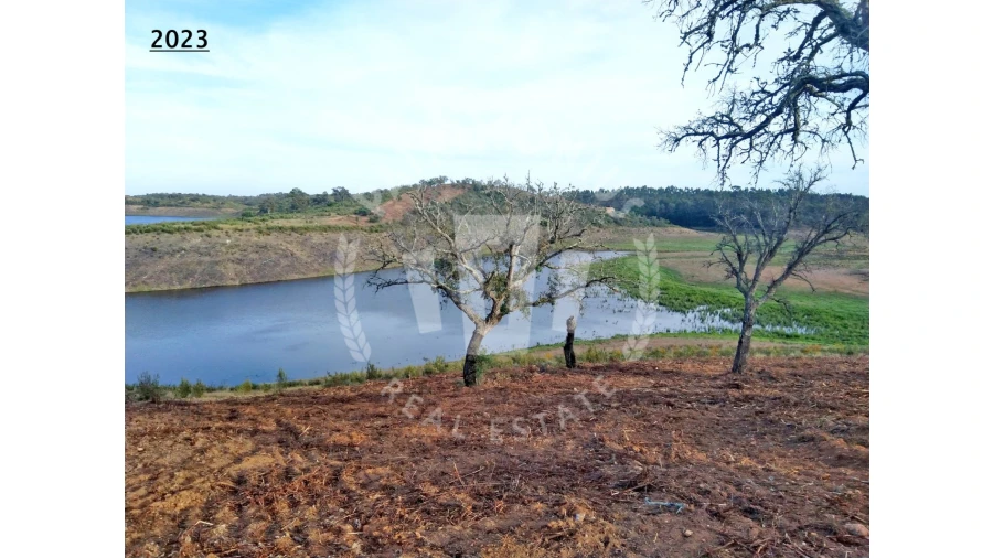 Terreno Agricola ou Rústico para Venda em Cercal Foto 11