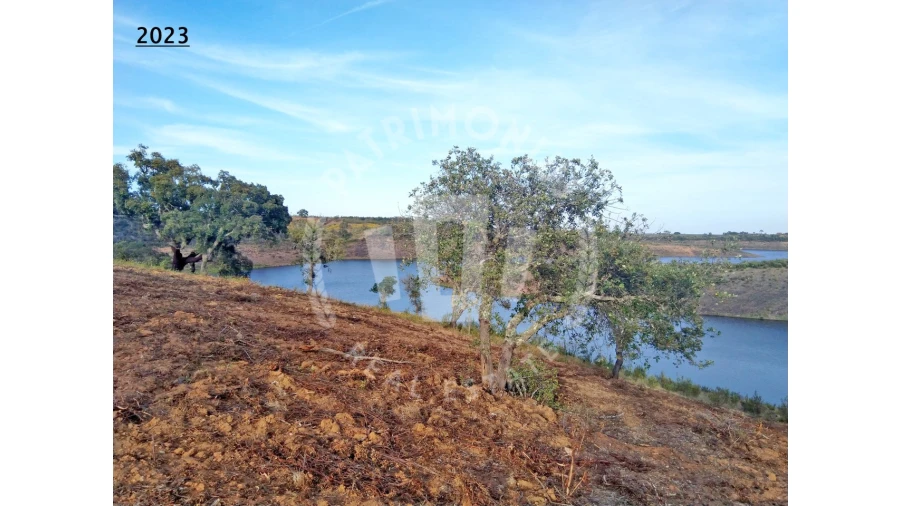 Terreno Agricola ou Rústico para Venda em Cercal Foto 12