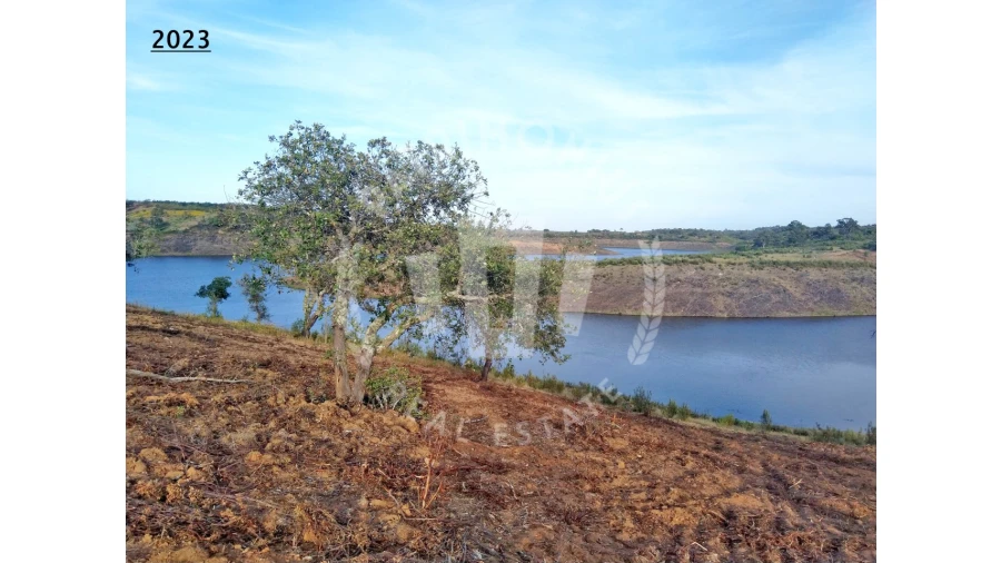Terreno Agricola ou Rústico para Venda em Cercal Foto 13