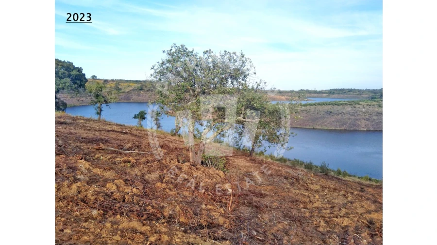 Terreno Agricola ou Rústico para Venda em Cercal Foto 14