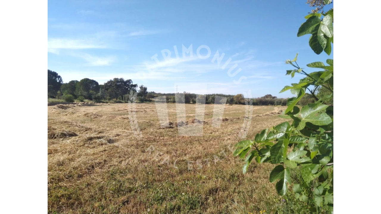 Terreno para Venda em São Domingos e Vale de Água Foto 2