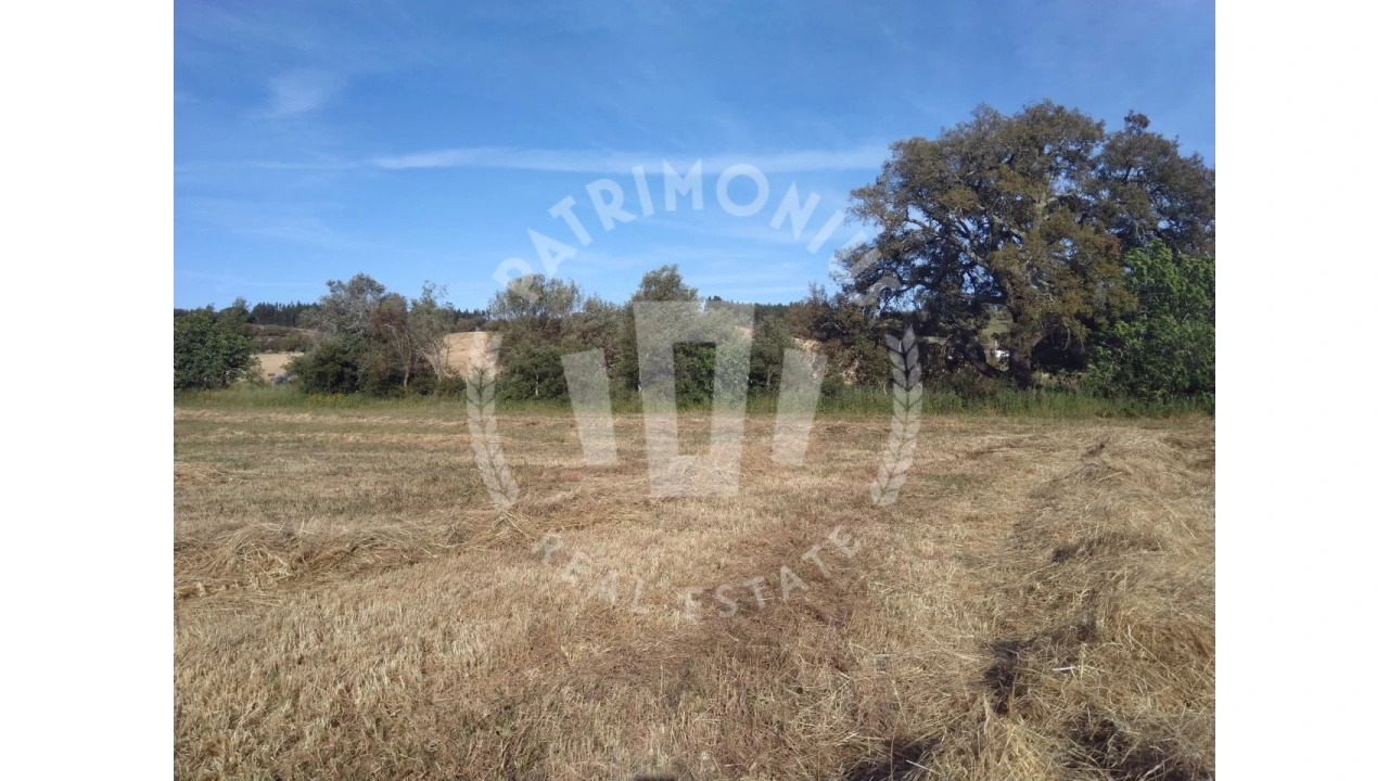 Terreno para Venda em São Domingos e Vale de Água Foto 3