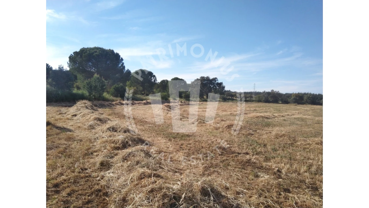 Terreno para Venda em São Domingos e Vale de Água Foto 5