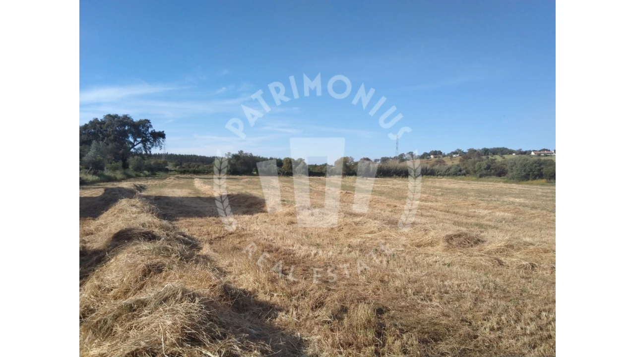 Terreno para Venda em São Domingos e Vale de Água Foto 9