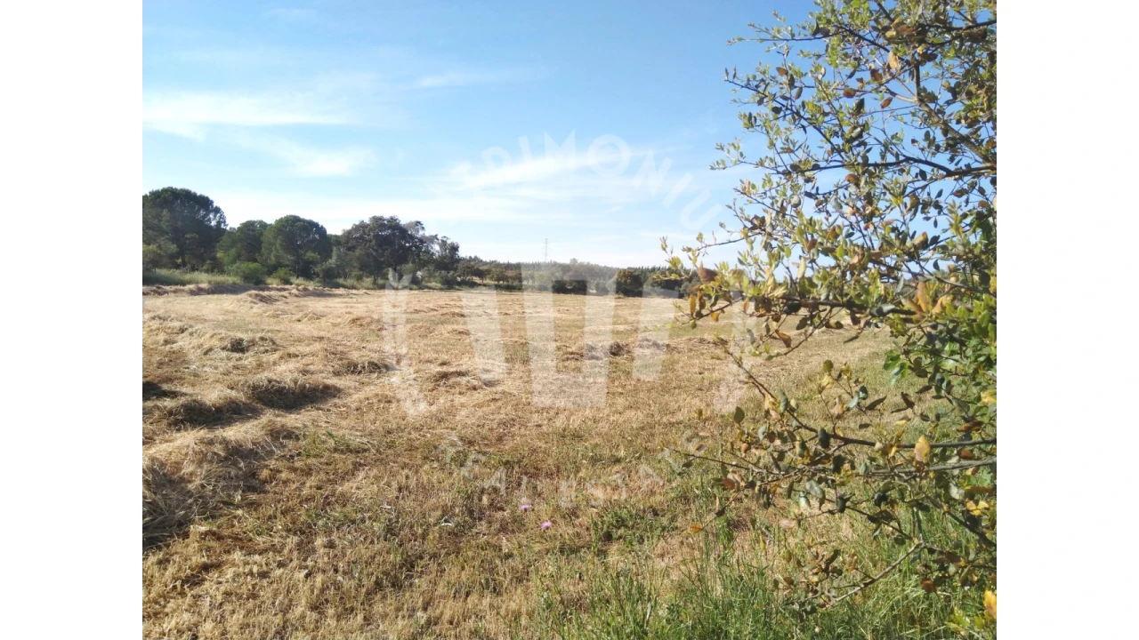 Terreno para Venda em São Domingos e Vale de Água Foto 12