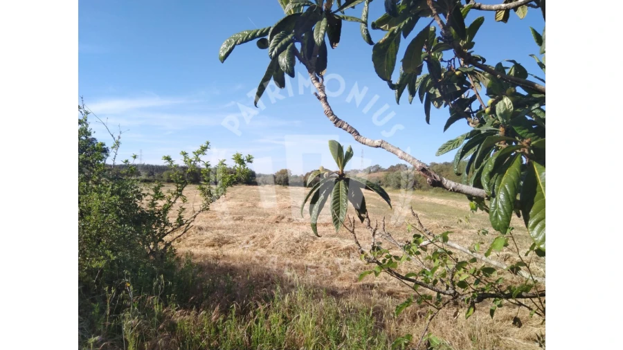 Terreno para Venda em São Domingos e Vale de Água Foto 1