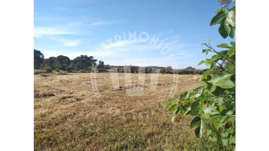 Terreno para Venda em São Domingos e Vale de Água Foto 2