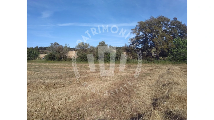 Terreno para Venda em São Domingos e Vale de Água Foto 3