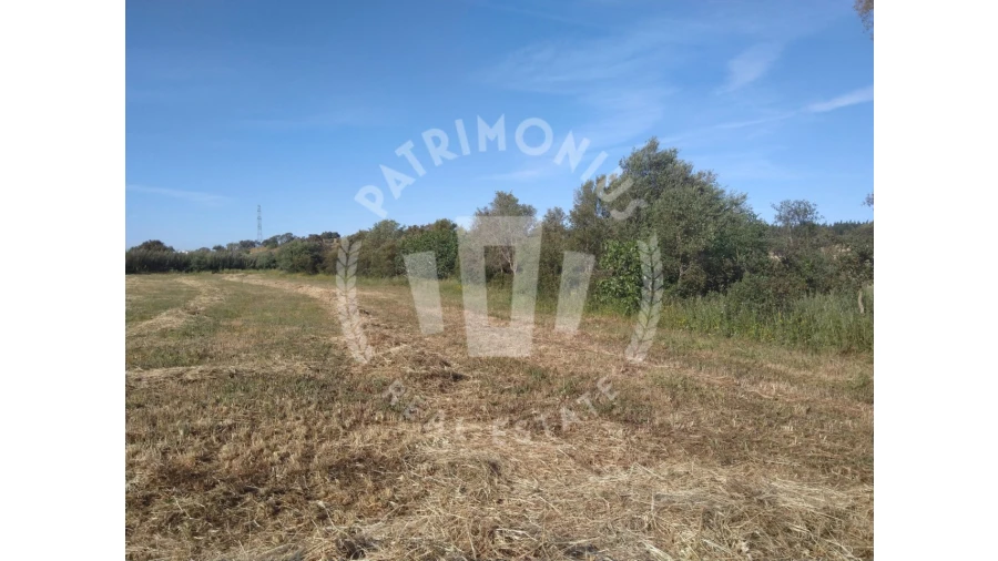 Terreno para Venda em São Domingos e Vale de Água Foto 4