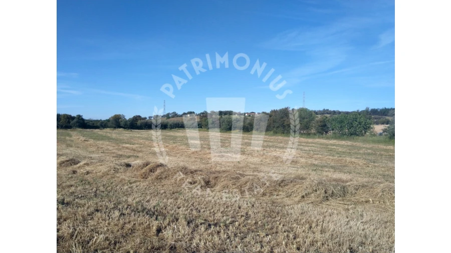 Terreno para Venda em São Domingos e Vale de Água Foto 6