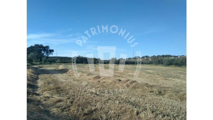 Terreno para Venda em São Domingos e Vale de Água Foto 8