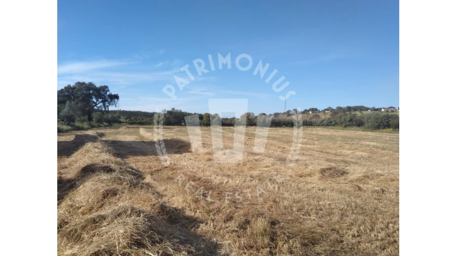 Terreno para Venda em São Domingos e Vale de Água Foto 9