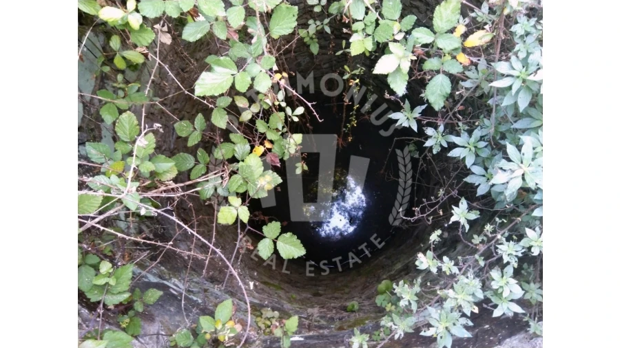 Terreno para Venda em São Domingos e Vale de Água Foto 10