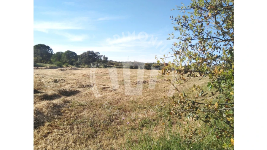 Terreno para Venda em São Domingos e Vale de Água Foto 12