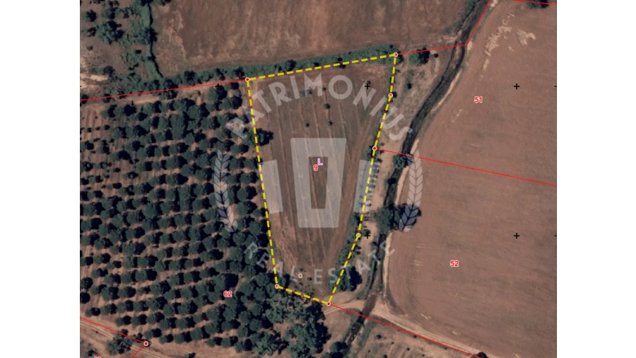 Terreno para Venda em São Domingos e Vale de Água Foto 13