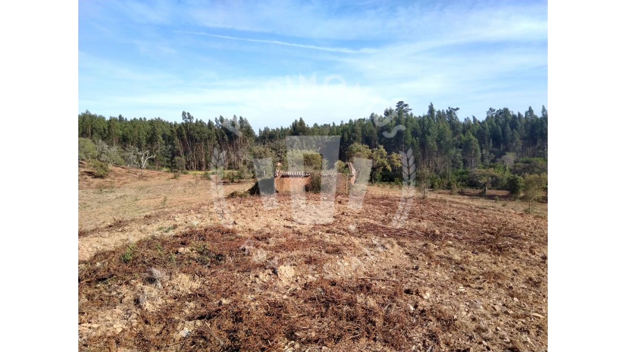 Terreno para Venda em Santiago do Cacém, Santa Cruz e São Bartolomeu da Serra Foto 1
