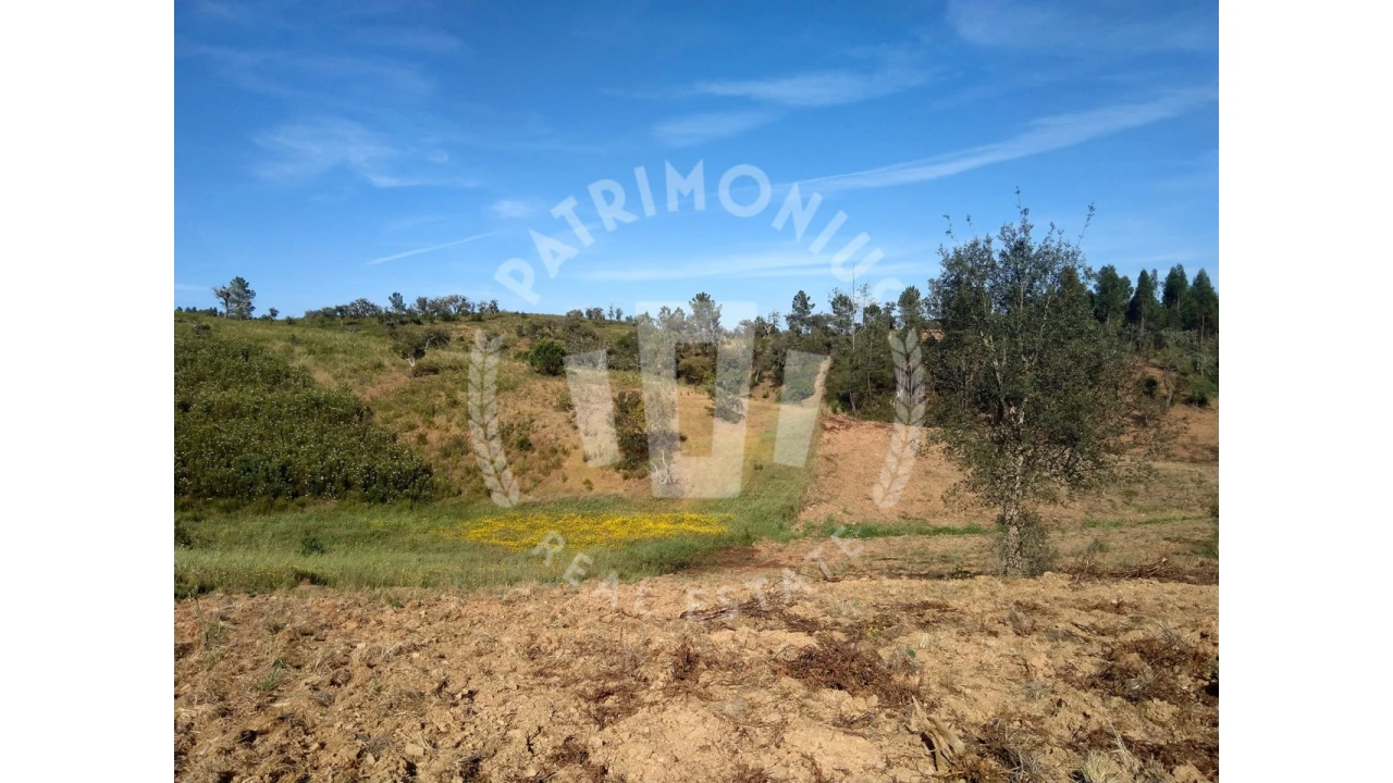 Terreno para Venda em Santiago do Cacém, Santa Cruz e São Bartolomeu da Serra Foto 4