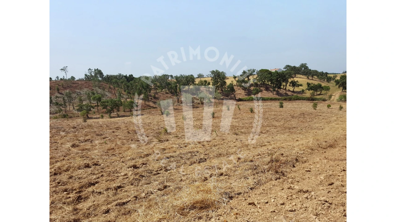 Terreno para Venda em Santiago do Cacém, Santa Cruz e São Bartolomeu da Serra Foto 9