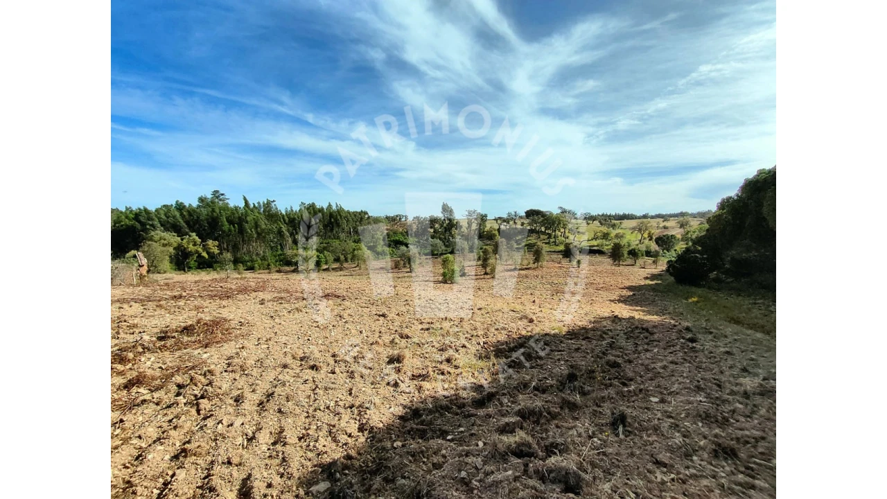 Terreno para Venda em Santiago do Cacém, Santa Cruz e São Bartolomeu da Serra Foto 11