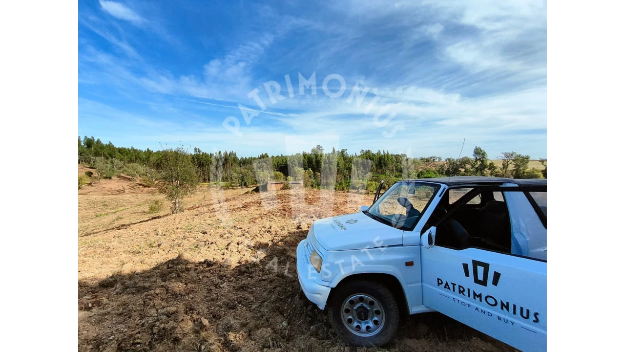 Terreno para Venda em Santiago do Cacém, Santa Cruz e São Bartolomeu da Serra Foto 12