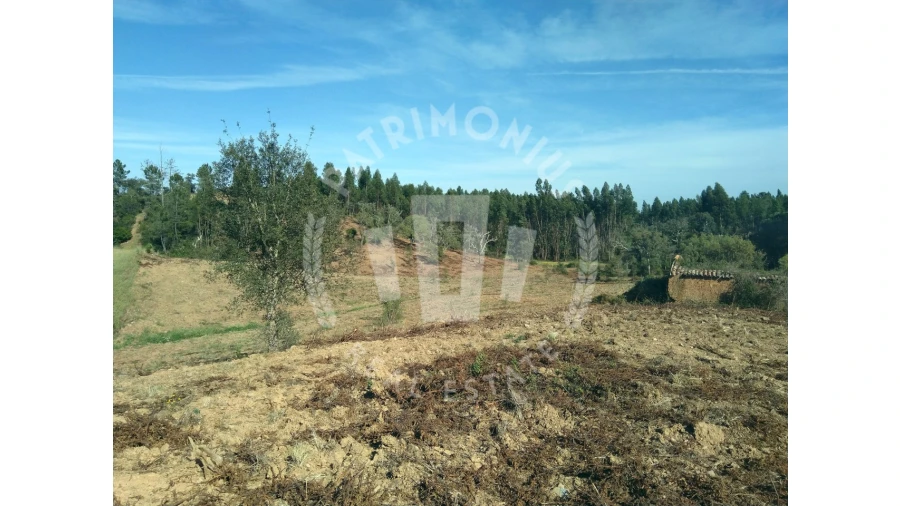 Terreno para Venda em Santiago do Cacém, Santa Cruz e São Bartolomeu da Serra Foto 2