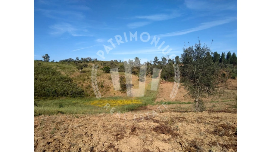 Terreno para Venda em Santiago do Cacém, Santa Cruz e São Bartolomeu da Serra Foto 4