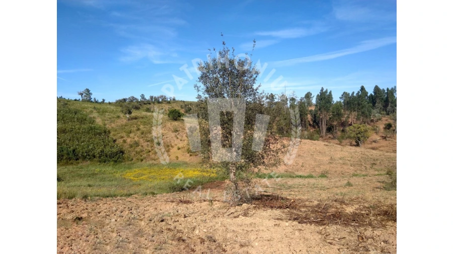 Terreno para Venda em Santiago do Cacém, Santa Cruz e São Bartolomeu da Serra Foto 5