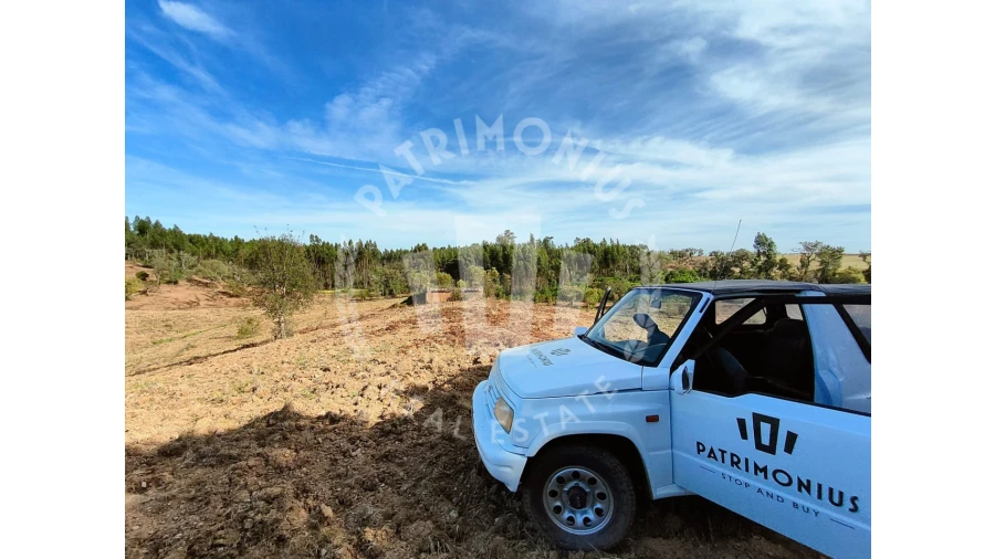 Terreno para Venda em Santiago do Cacém, Santa Cruz e São Bartolomeu da Serra Foto 12