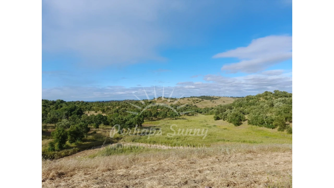 Quinta T2 para Venda em Grândola e Santa Margarida da Serra Foto 2