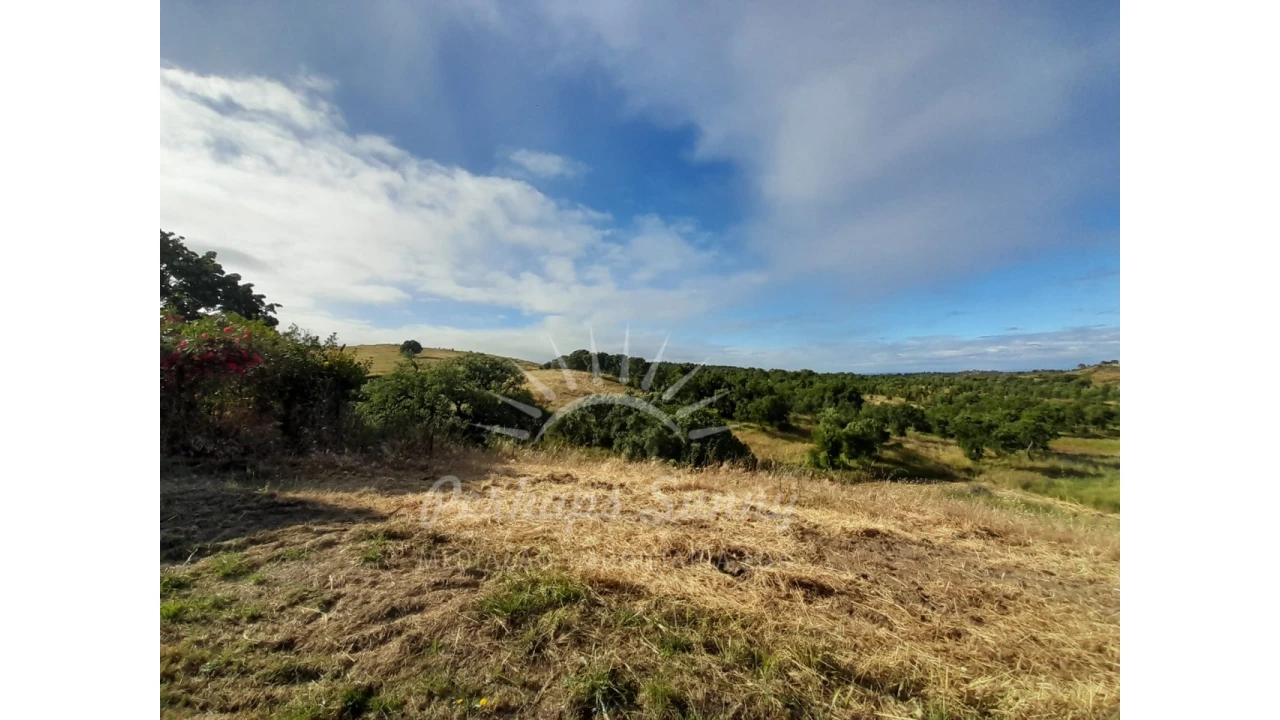 Quinta T2 para Venda em Grândola e Santa Margarida da Serra Foto 25