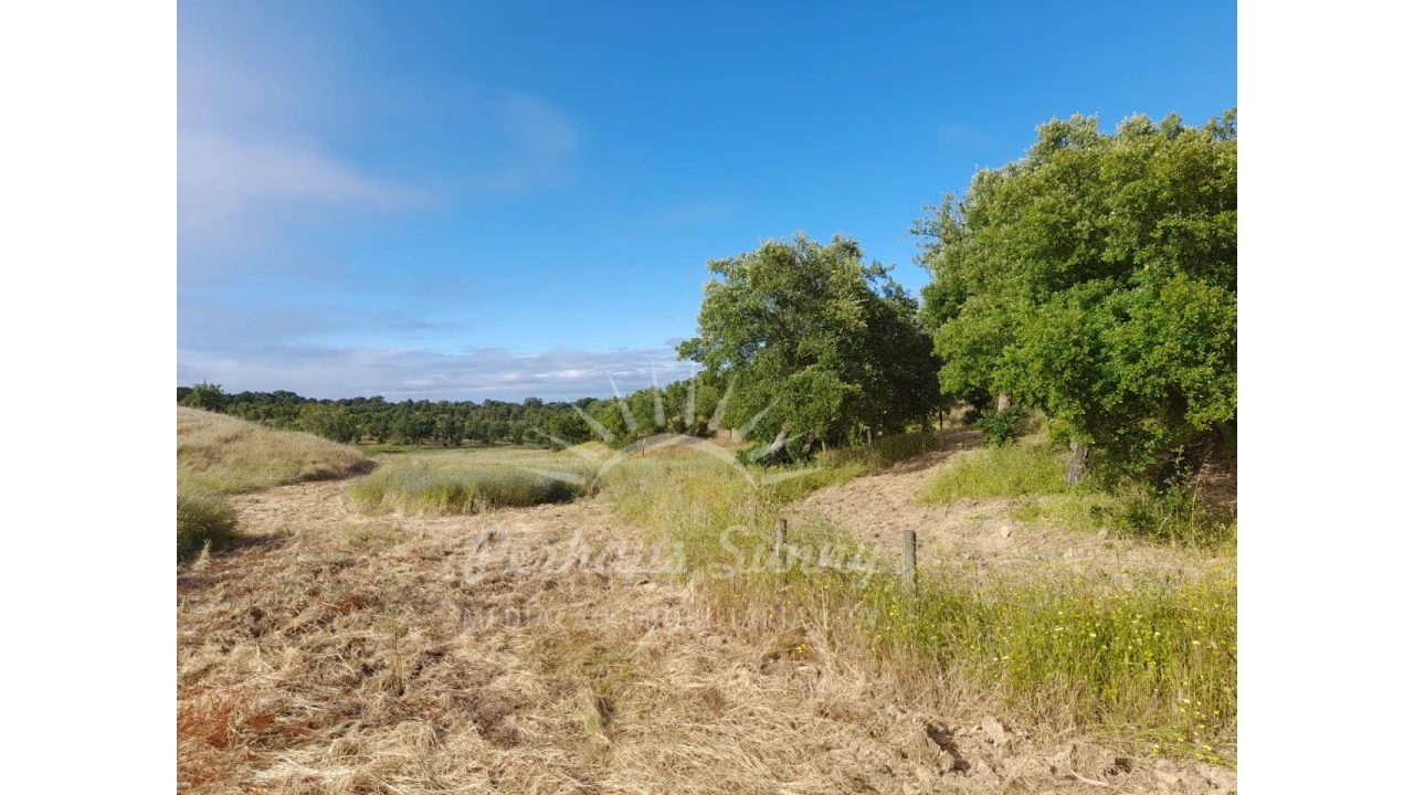 Quinta T2 para Venda em Grândola e Santa Margarida da Serra Foto 29
