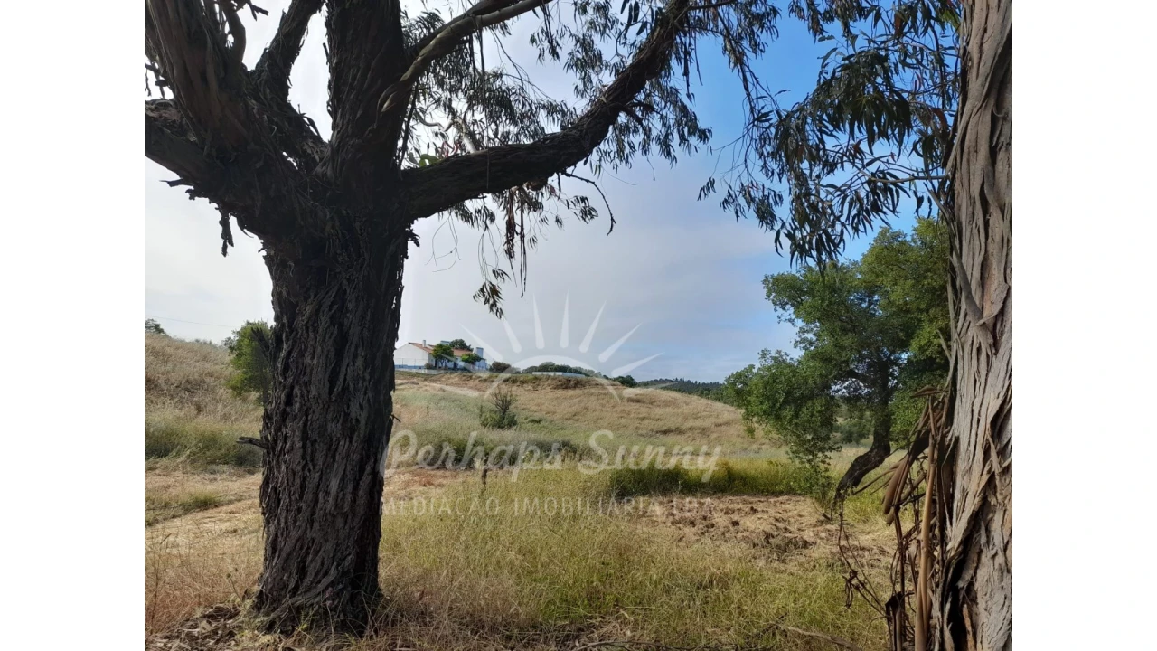 Quinta T2 para Venda em Grândola e Santa Margarida da Serra Foto 32