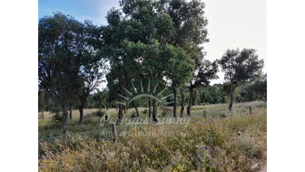 Quinta T2 para Venda em Grândola e Santa Margarida da Serra Foto 36