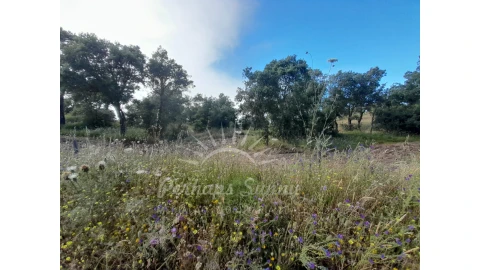 Quinta T2 para Venda em Grândola e Santa Margarida da Serra