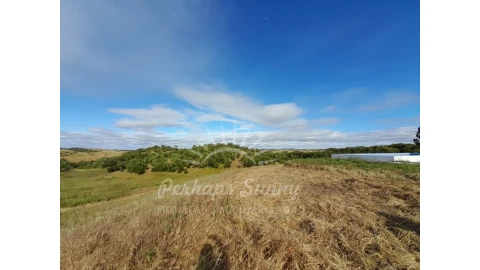 Quinta T2 para Venda em Grândola e Santa Margarida da Serra