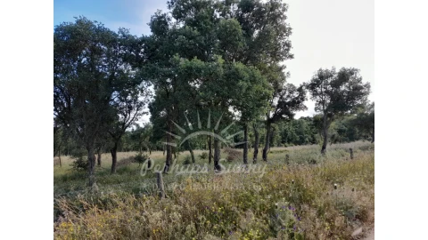Quinta T2 para Venda em Grândola e Santa Margarida da Serra