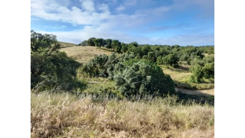 Quinta T2 para Venda em Grândola e Santa Margarida da Serra