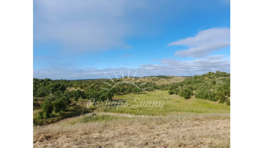 Quinta T2 para Venda em Grândola e Santa Margarida da Serra Foto 2
