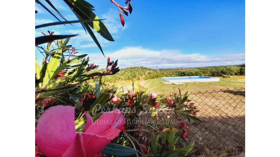 Quinta T2 para Venda em Grândola e Santa Margarida da Serra Foto 20