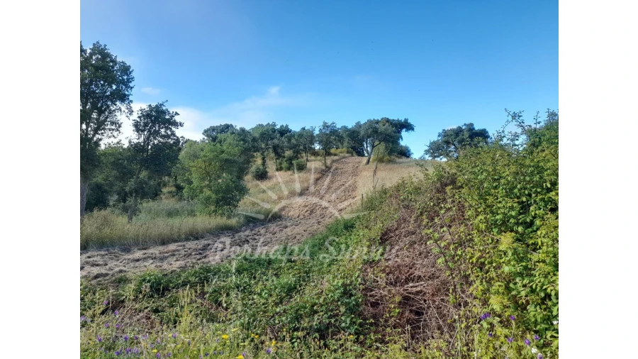 Quinta T2 para Venda em Grândola e Santa Margarida da Serra Foto 31