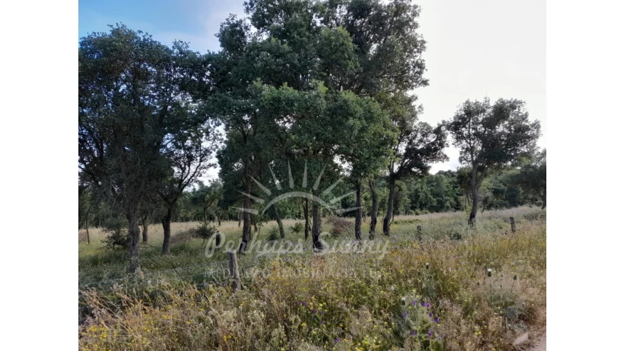 Quinta T2 para Venda em Grândola e Santa Margarida da Serra Foto 36