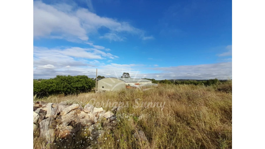 Quinta T2 para Venda em Grândola e Santa Margarida da Serra Foto 38
