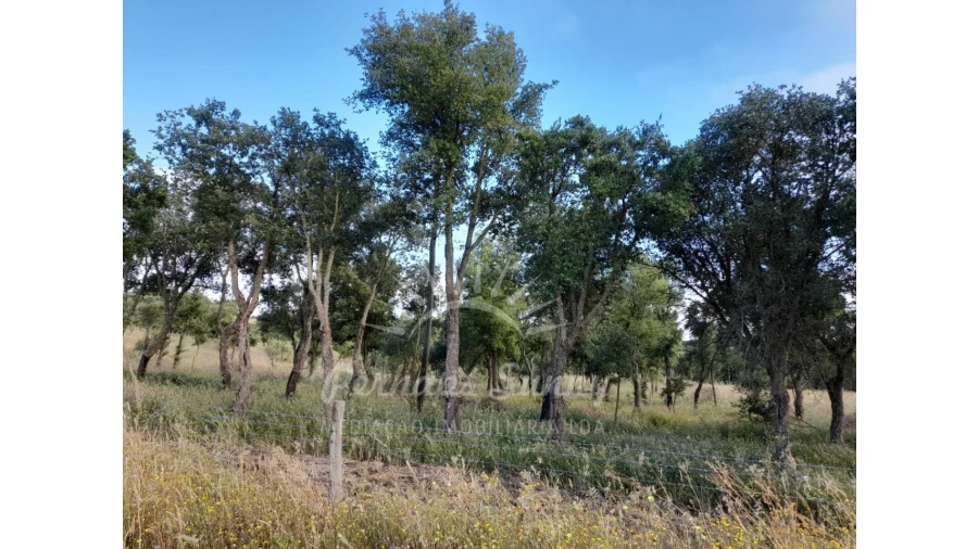 Quinta T2 para Venda em Grândola e Santa Margarida da Serra Foto 39