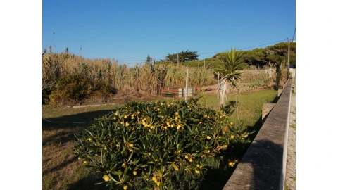 Terreno para Venda em Colares